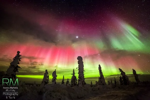 Aurora boreală văzută din Alaska. FOTO: Marketa Murray
