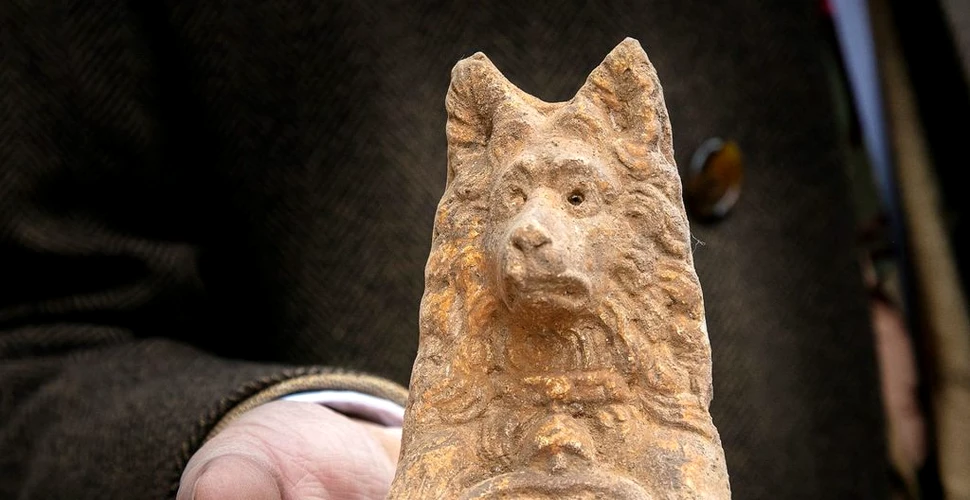 Un câine asemănător cu Leul cel fricos din Vrăjitorul din Oz, găsit într-un mormânt antic din Roma