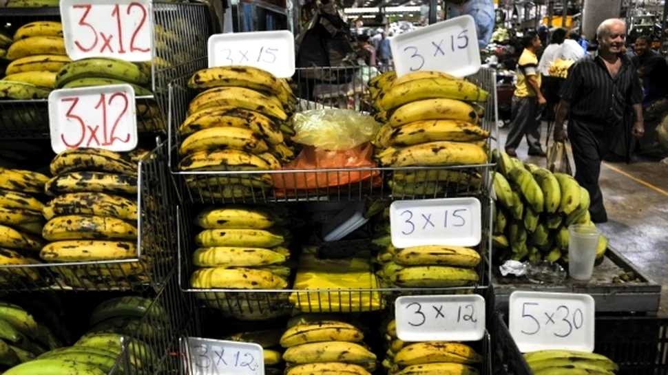 Spunem adio bananelor? Cel mai consumat soi este atacat de o boală necruţătoare