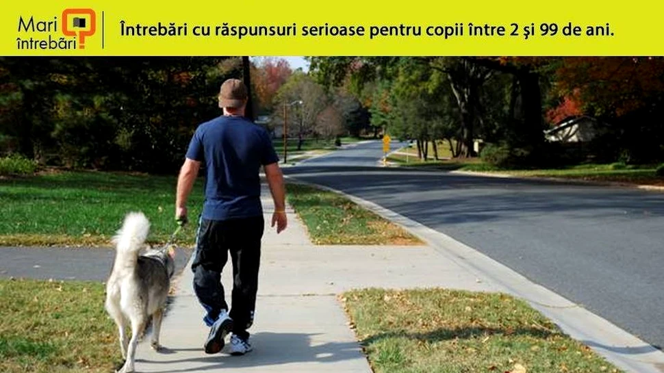 Cine a inventat trotuarul?