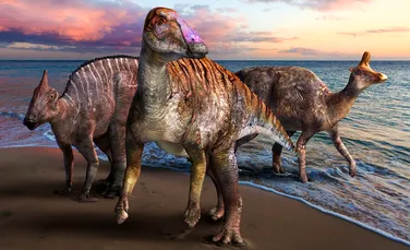 Un hadrozaur bizar cu dinți foarte ciudați a fost descoperit în Japonia