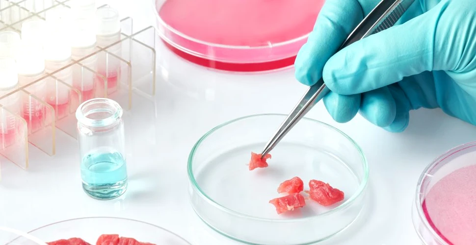 O companie din Islanda cultivă plante modificate genetic pentru a produce carne crescută în laborator