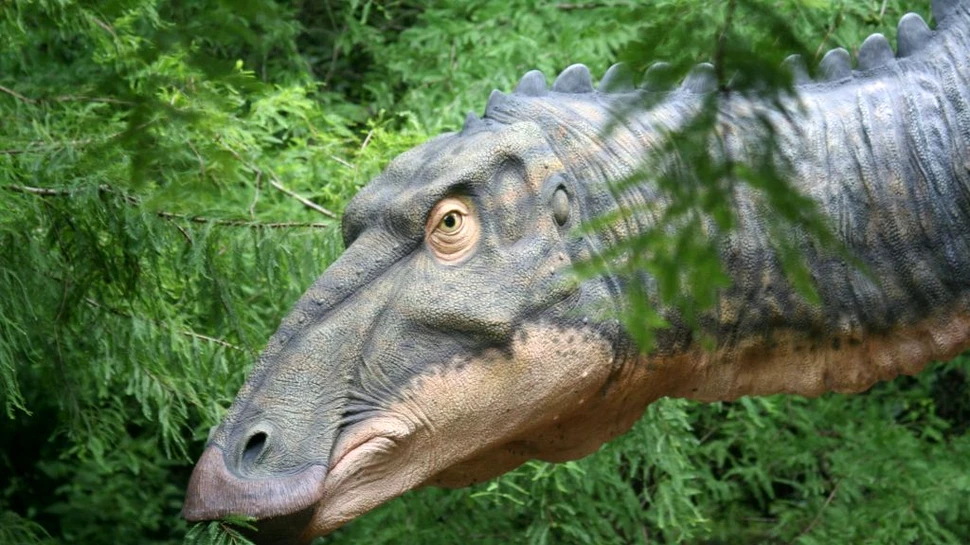 Vânătorii de fosile au dezgropat noi specii de dinozauri. Detaliile oferite de cercetători