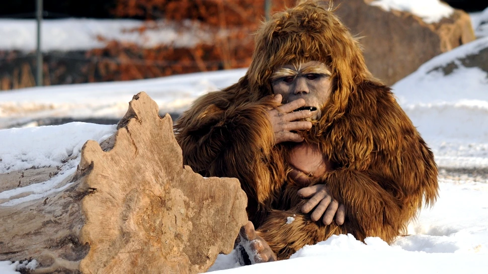 Adevărul despre Yeti. Testele ADN sunt clare: ce este de fapt Omul Zăpezilor? (FOTO)
