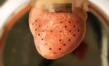 Mănuşa electronică poate face inima să bată la nesfârşit. Invenţia surprinzătoare a unor cercetători (VIDEO)