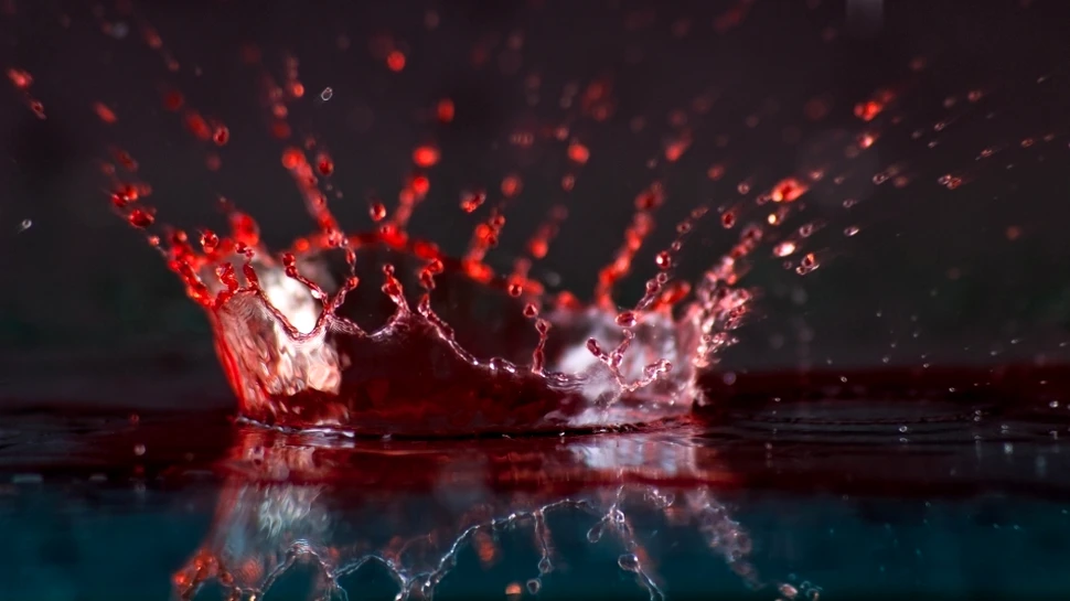 Coroane pătate de sânge: 10 regi care au călcat pe cadavre