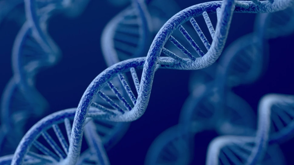 O companie doreşte să furnizeze ADN-ul cu ajutorul unui fax ”biologic”. ”Este ca teleportarea biologică”