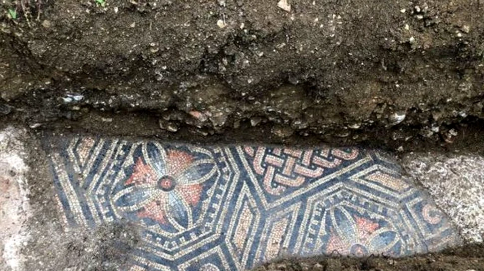 Comoara de sub picioarele lor. Un pavaj din mozaic a fost descoperit sub o vie în nordul Italiei