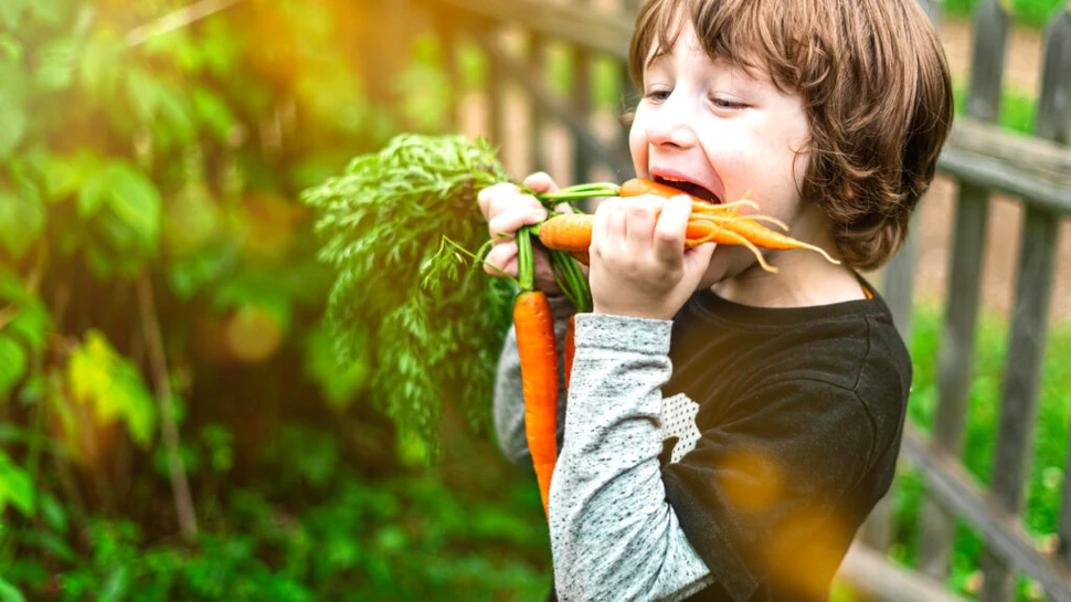 Test de cultură generală. Mit sau adevăr: Ne ajută morcovii să vedem mai bine?