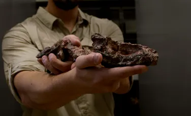O fosilă de dinozaur în stare foarte bună, descoperită în Brazilia. Cât de veche este?