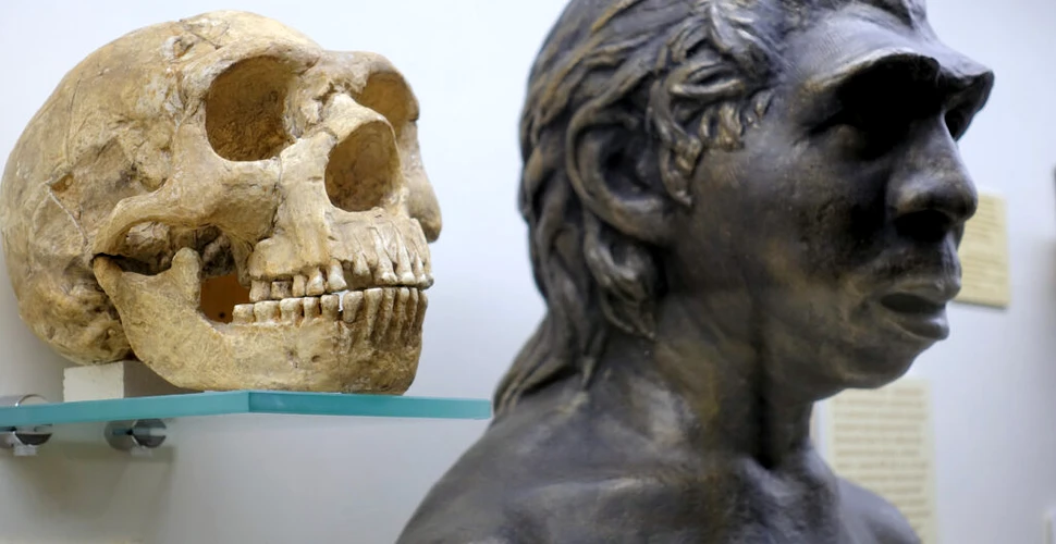 O suliță veche de 80.000 de ani contrazice tot ce știam despre neanderthalieni