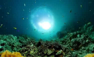 Cercetătorii au găsit pentru prima dată viață animală sub fundul oceanului