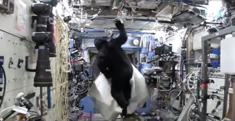Când se plictisesc, americanii de pe Staţia Spaţială Internaţională se ţin de şotii – VIDEO
