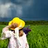 Meteorologii au actualizat prognoza! Cum va fi vremea în următoarele săptămâni?