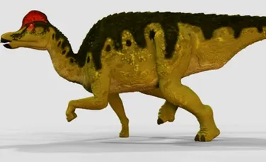 Dinozaurii ierbivori cresteau mai repede decat pradatorii lor