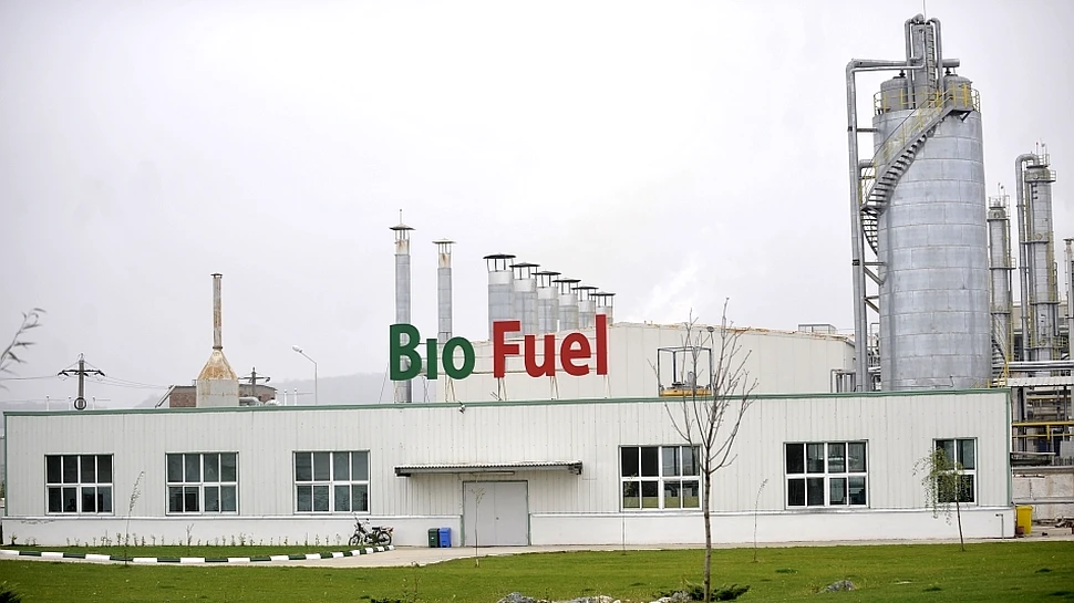 Producerea de biocombustibili în Europa va duce la 1.400 de decese anual şi va afecta agricultura