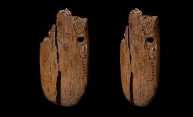 Cea mai veche bijuterie decorată din Eurasia: un pandantiv de fildeș vechi de 41.500 de ani