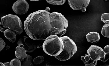 Microbi extremi, descoperiţi la sute de metri sub podeaua Mării Japoniei