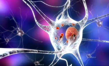 Boala Parkinson, mai ușor de diagnosticat cu inteligență artificială