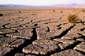 Urmele inconfundabile ale violenței, descoperite pe rămășițele umane din deșertul Atacama