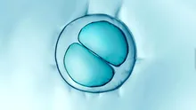 Apneea în somn ar putea fi tratată prin injecții cu celule stem