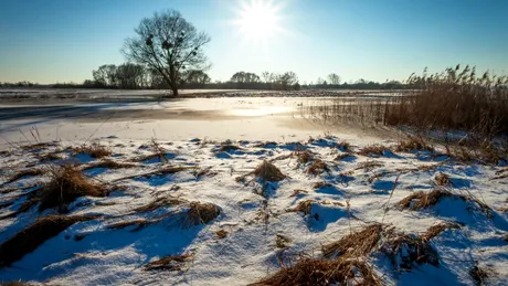 Cum va fi vremea până la începutul lunii martie?