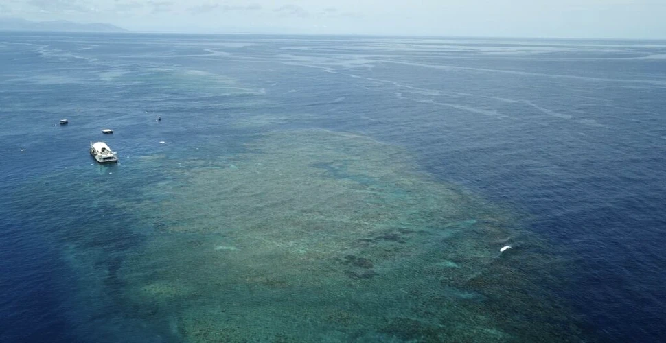 Insulele de corali din Australia care marchează granițele maritime ale țării riscă să dispară