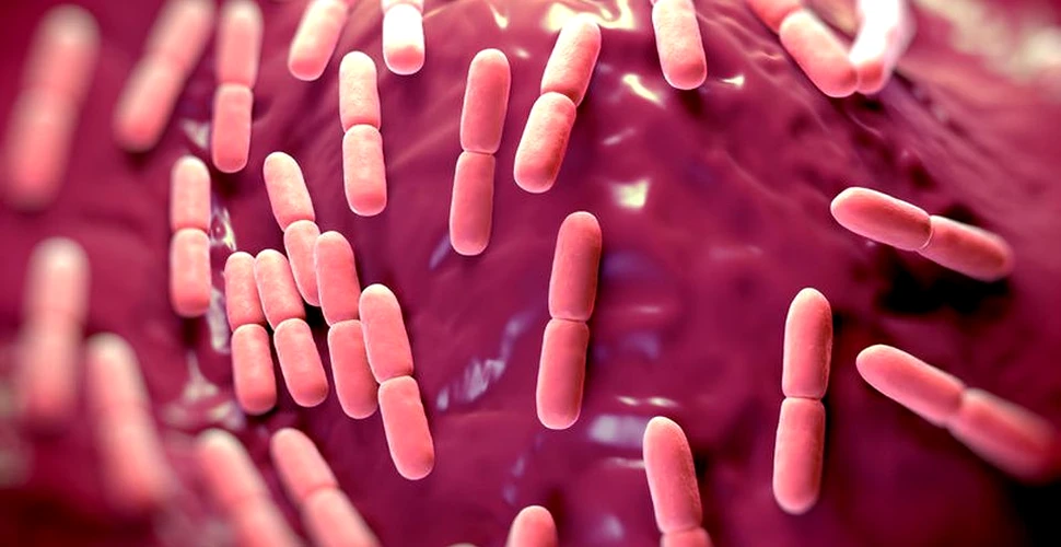 Organizaţia Mondială a Sănătăţii a realizat o listă cu cele mai PERICULOASE bacterii rezistente la antibiotice