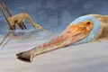 O specie neobișnuită de pterozaur, cu 400 de dinți asemănători unor cârlige, a fost descoperită