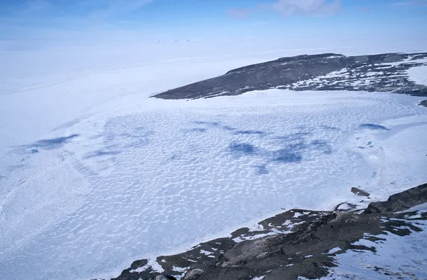 Forme de viaţă de acum 100.000 au fost descoperite pentru prima dată în sedimentele unui lac subglacial