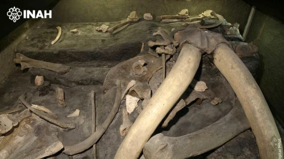 O tabără din era glaciară a oferit cele mai timpurii dovezi pentru vânătoarea de mamuți în Mexic