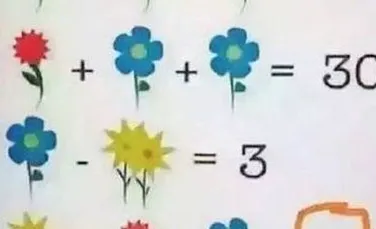 O ecuaţie matematică postată pe Facebook le dă mari bătăi de cap internauţilor. Tu o poţi rezolva?