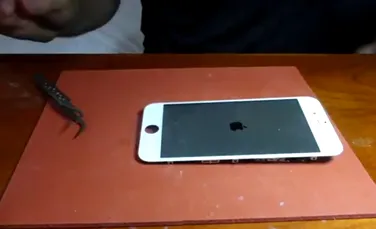 Acum poţi să-ţi construieşti singur un iPhone, acasă. Un tânăr a reuşit să realizeze experimentul cu piese din China