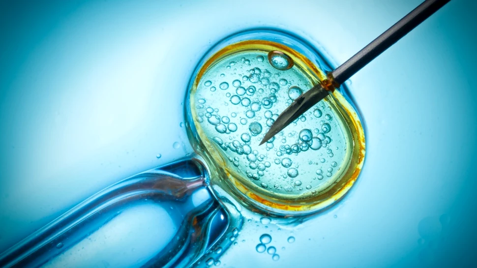 Este permis să ne selectăm şi edităm genetic copiii?