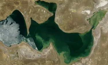Ecosistemul din marea Aral se redreseaza
