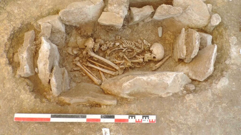Mormântul unei femei războinice din Epoca de Piatră, descoperit într-un cimitir plin de bărbați