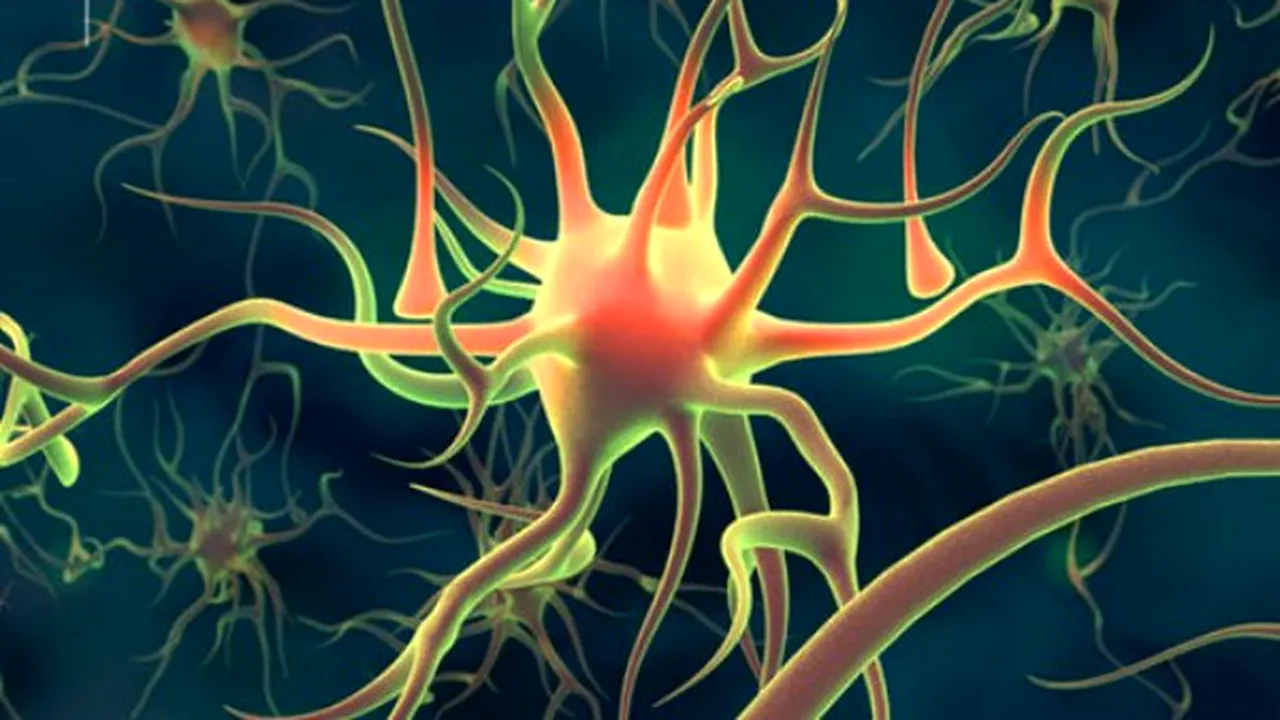 1-neuroni 
