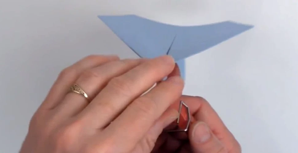 Cum putem construi un avion de hârtie care să zboare pe distanţe record? (VIDEO)