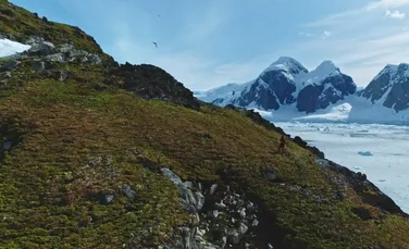 Topirea calotelor glaciare din Antarctica încetinește cel mai puternic curent oceanic de pe Pământ