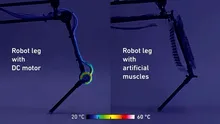 Oamenii de știință au creat un picior robotic care funcționează cu mușchi artificiali