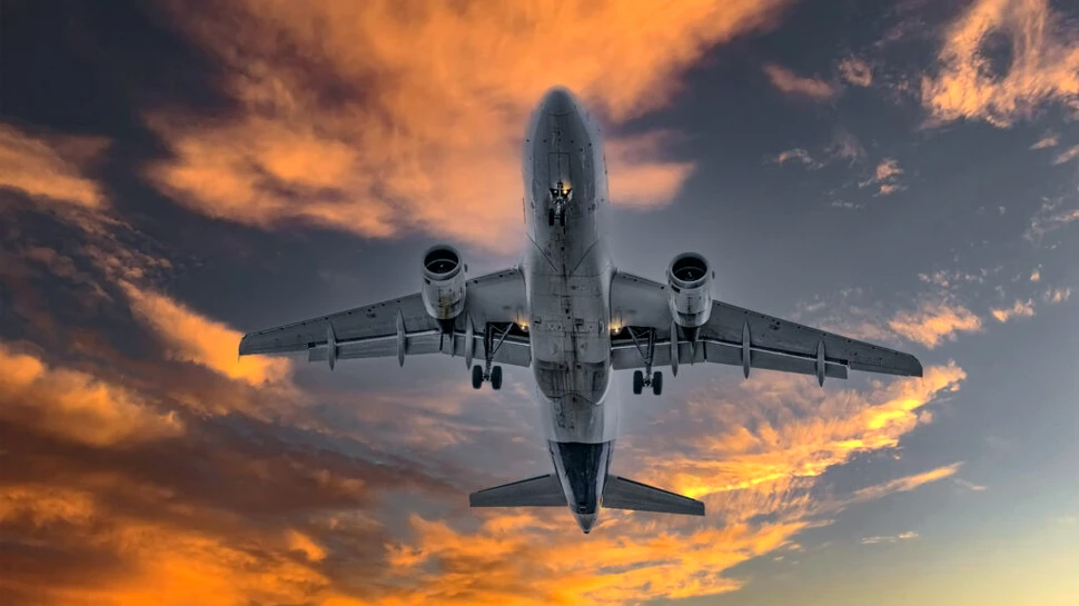 Un șarpe s-a strecurat în cabina de pilotaj a unui avion aflat în zbor