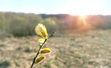 Prognoza meteo actualizată: Vremea se schimbă radical de Paște!