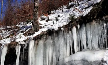 Imagini rare din Parcul Național Cozia. „Draperii de gheață” s-au format pe versanți