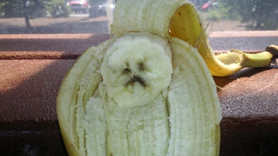 Obiceiul GREŞIT pe care îl avem cu toţii atunci când mâncăm banane. Aruncăm cea mai bună parte – FOTO+ VIDEO