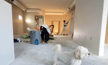 Ghidul complet al renovărilor rezidențiale  – transformă-ți casa într-un sanctuar modern (P)