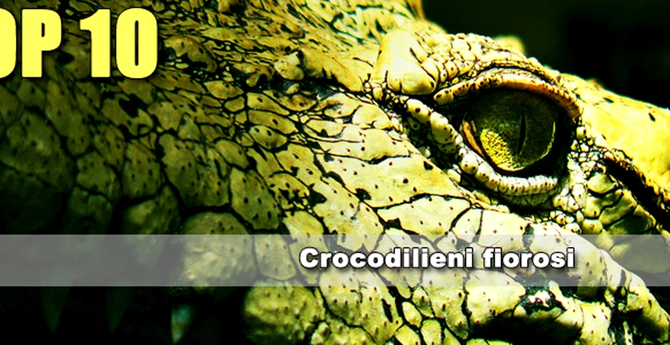 Top 10 Crocodilieni fiorosi