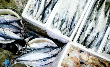 În România, consumul de peşte pe cap de locuitor va ajunge anul acesta la o treime din media UE