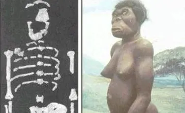 “Bunicul” lui Lucy a fost descoperit in Etiopia
