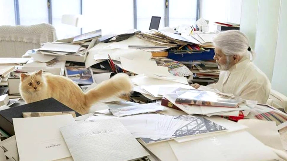 Pisica Choupette, moştenitoarea averii lui Karl Lagerfeld
