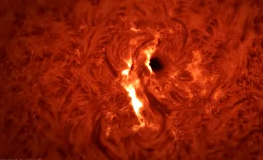 Cum sună o erupție solară? Un eveniment rar, surprins chiar în momentul declanșării!